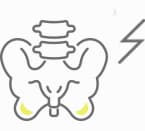 骨盤イラスト